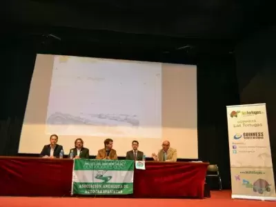 Guinness As Tartarugas