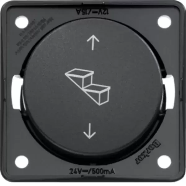 Interruptor Berker para peldaño eléctrico con marco color antracita